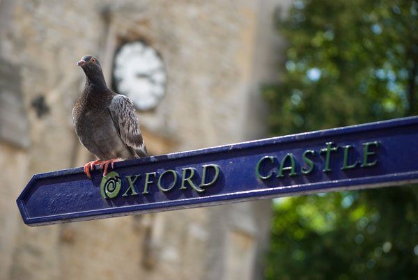 Visit Oxford Castle