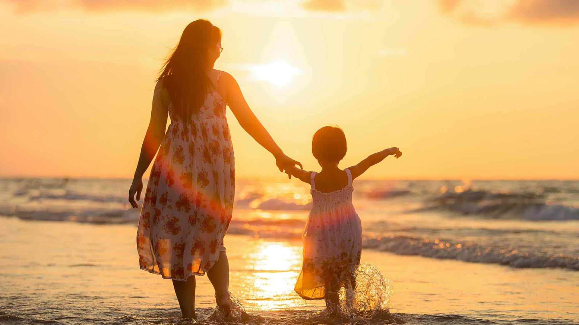 The Law Corner Family Law Divorce Child Custody Mediation Domestic Violence Estate Will Help Raleigh