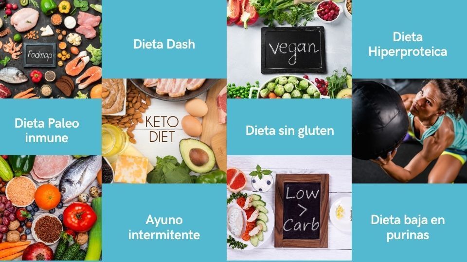 Tipos de dietas