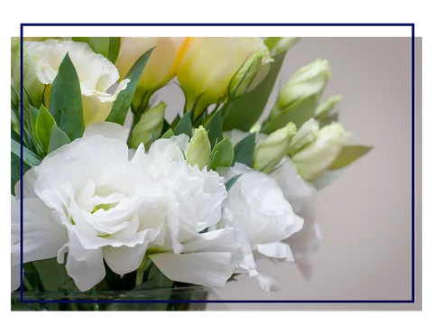 Un gros plan d'un bouquet de fleurs blanches dans un vase.