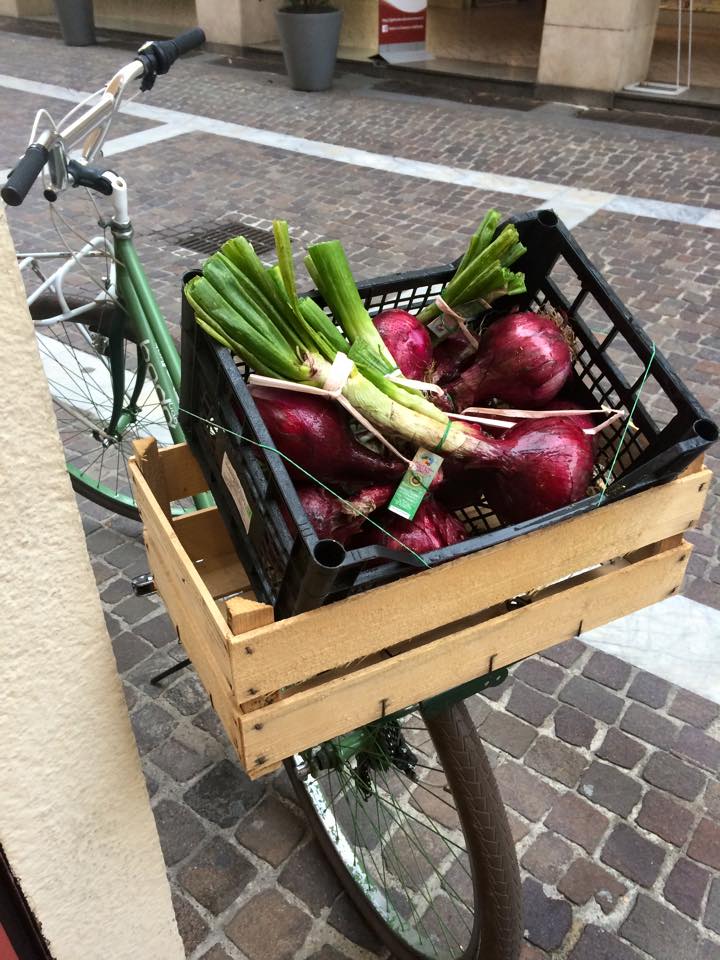 bicicletta con cestino pieno di verdura