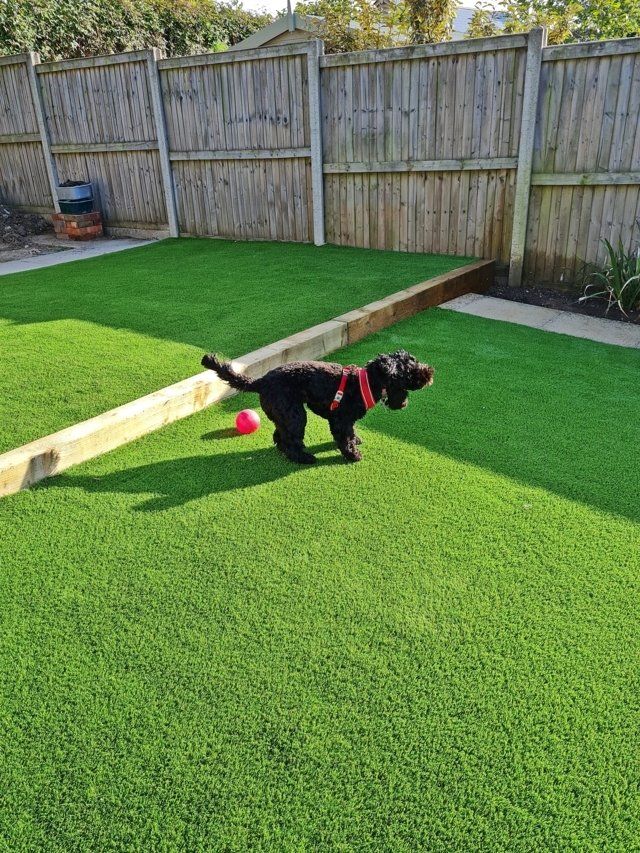 DSB Grass, artificial grass lawn installers.
Ideal for pets.