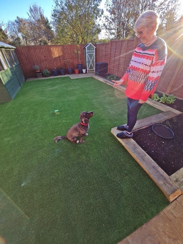 A woman is standing on artificial grass, next to a dog in a backyard.