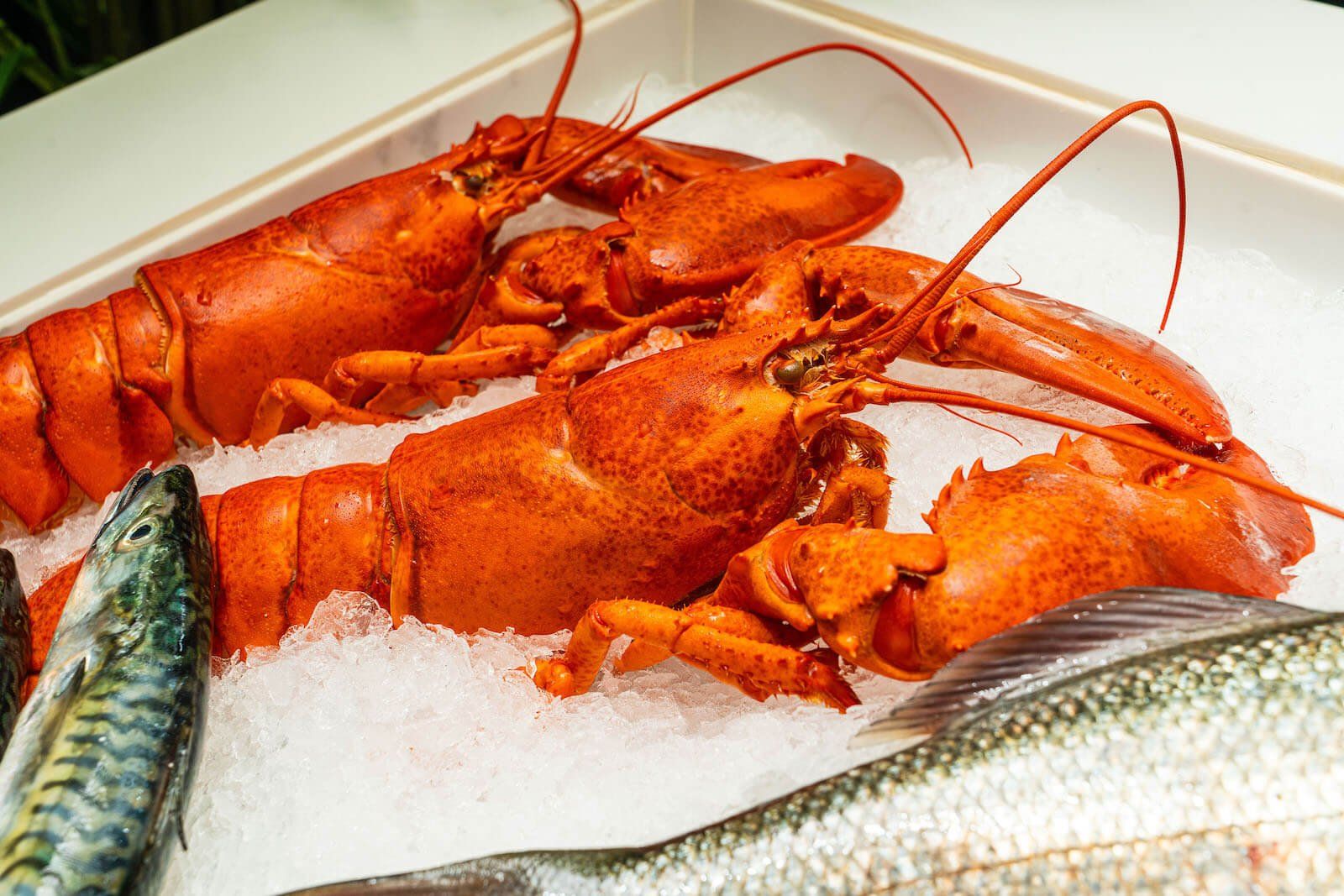 Adella Seafood Restaurant