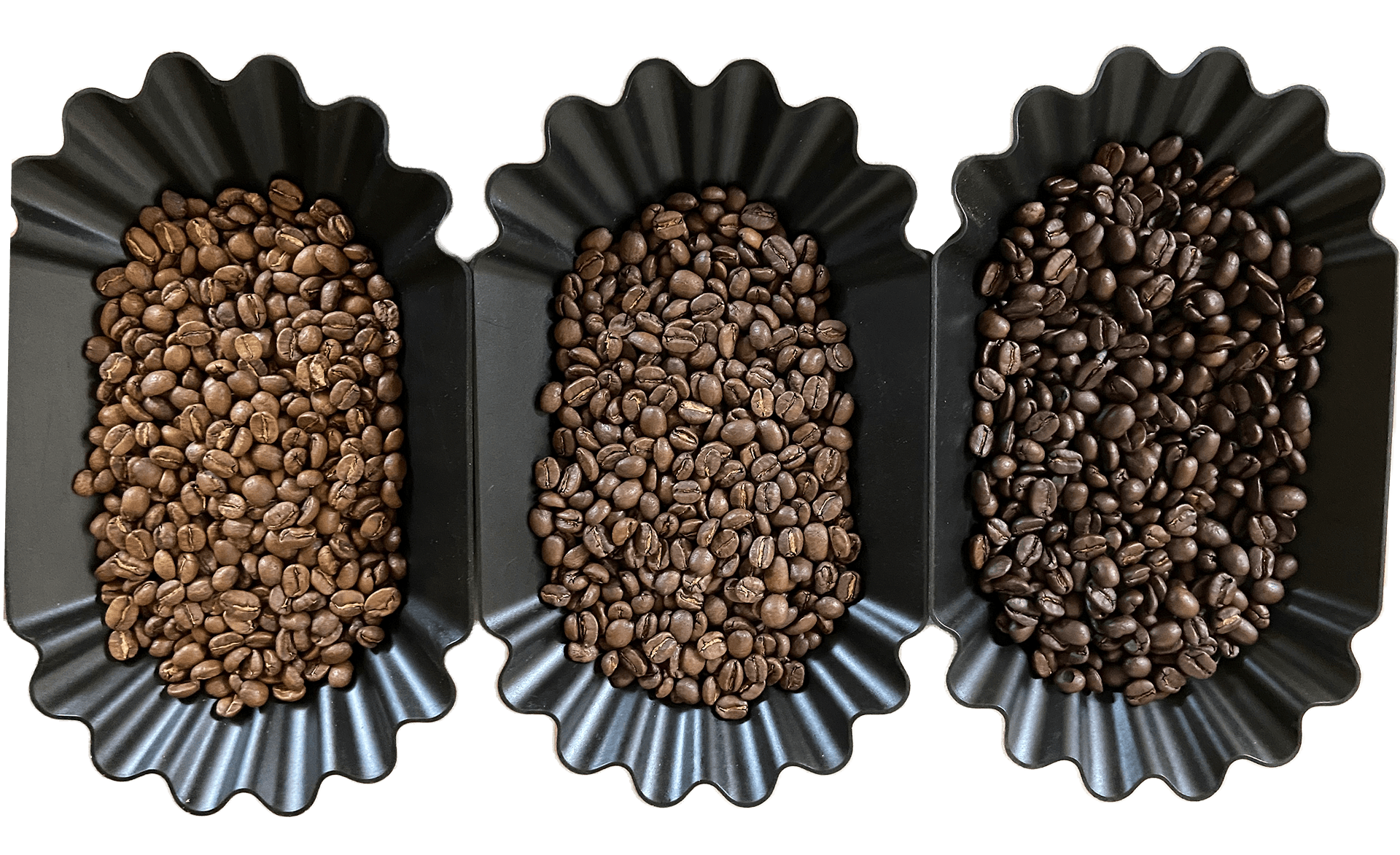 coffee beans in metal pans