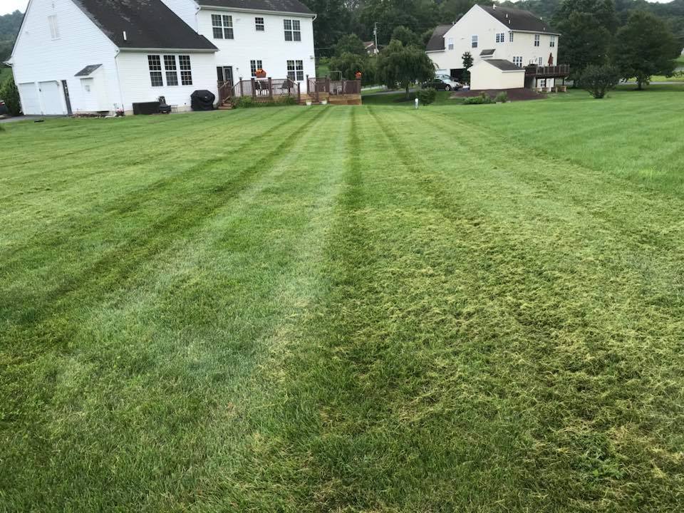 Clean Lawn — Fleetwood, PA — Behm's Lawn Care LLC