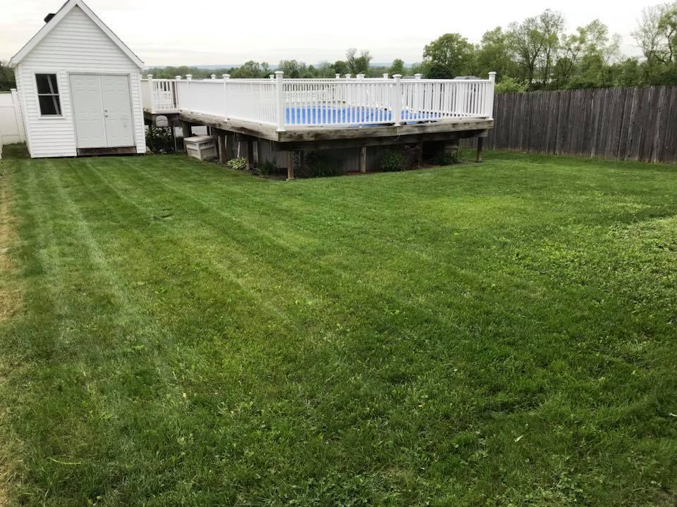 Lawn Backyard — Fleetwood, PA — Behm's Lawn Care LLC