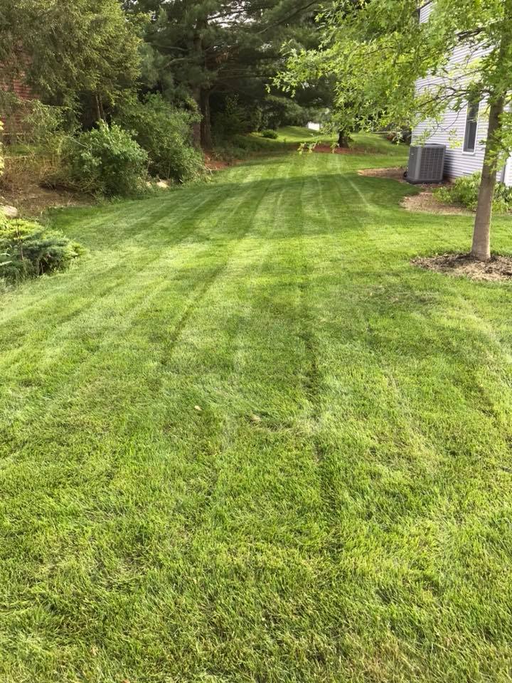 Mown Grass — Fleetwood, PA — Behm's Lawn Care LLC