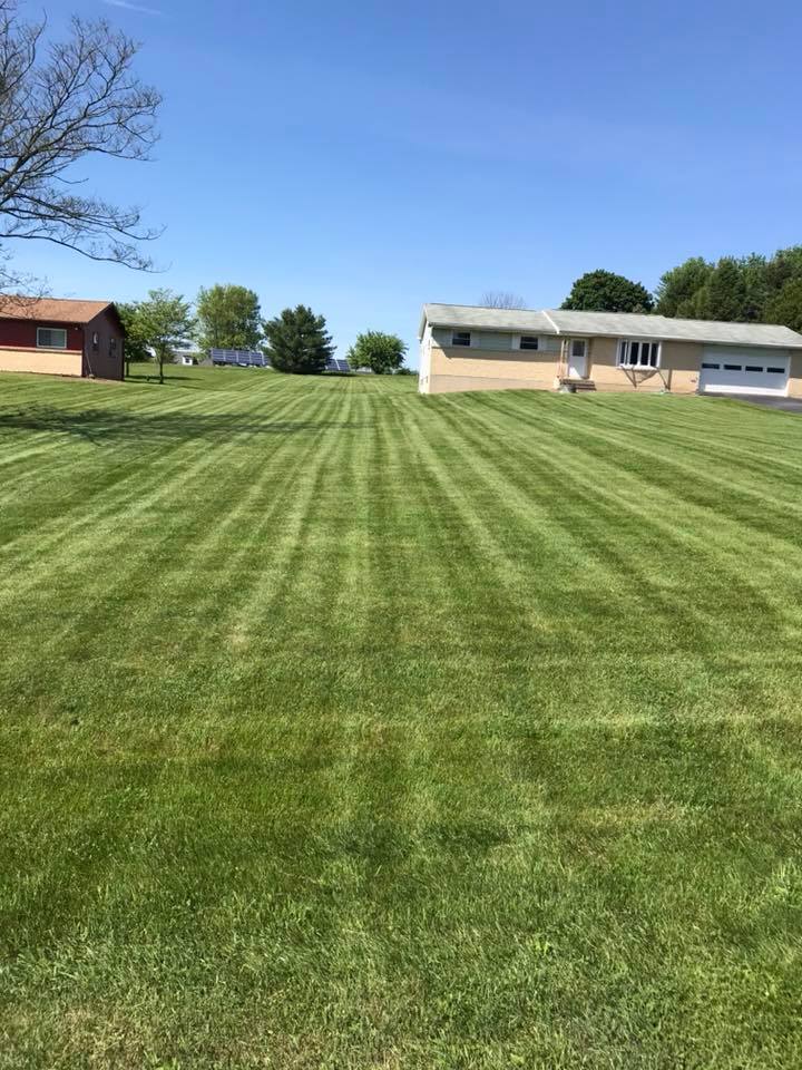 Green Field — Fleetwood, PA — Behm's Lawn Care LLC