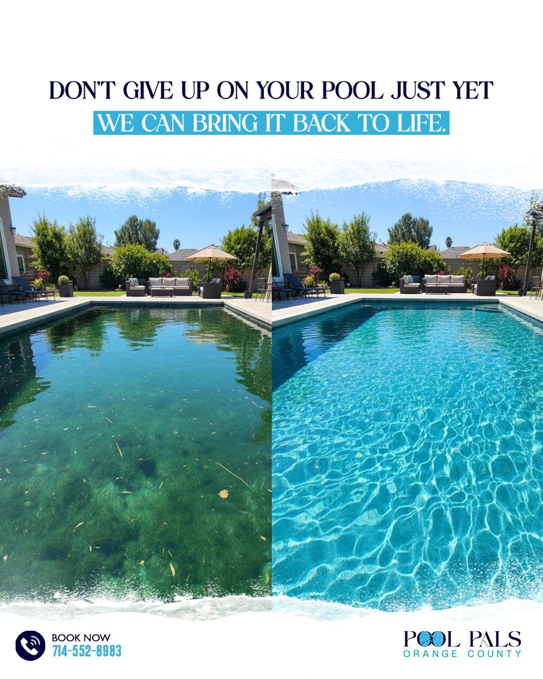 Before-and-after backyard pool cleaning: murky green water turned clear blue under sunny skies.