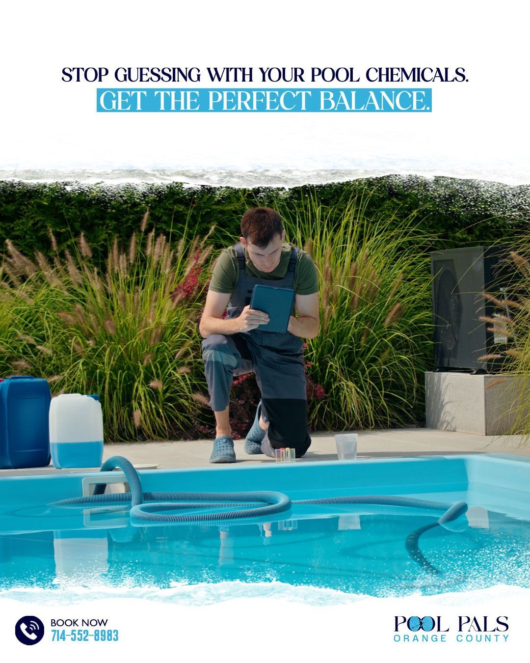 Poolside dog inspection with person kneeling, promoting pool chemical balance.