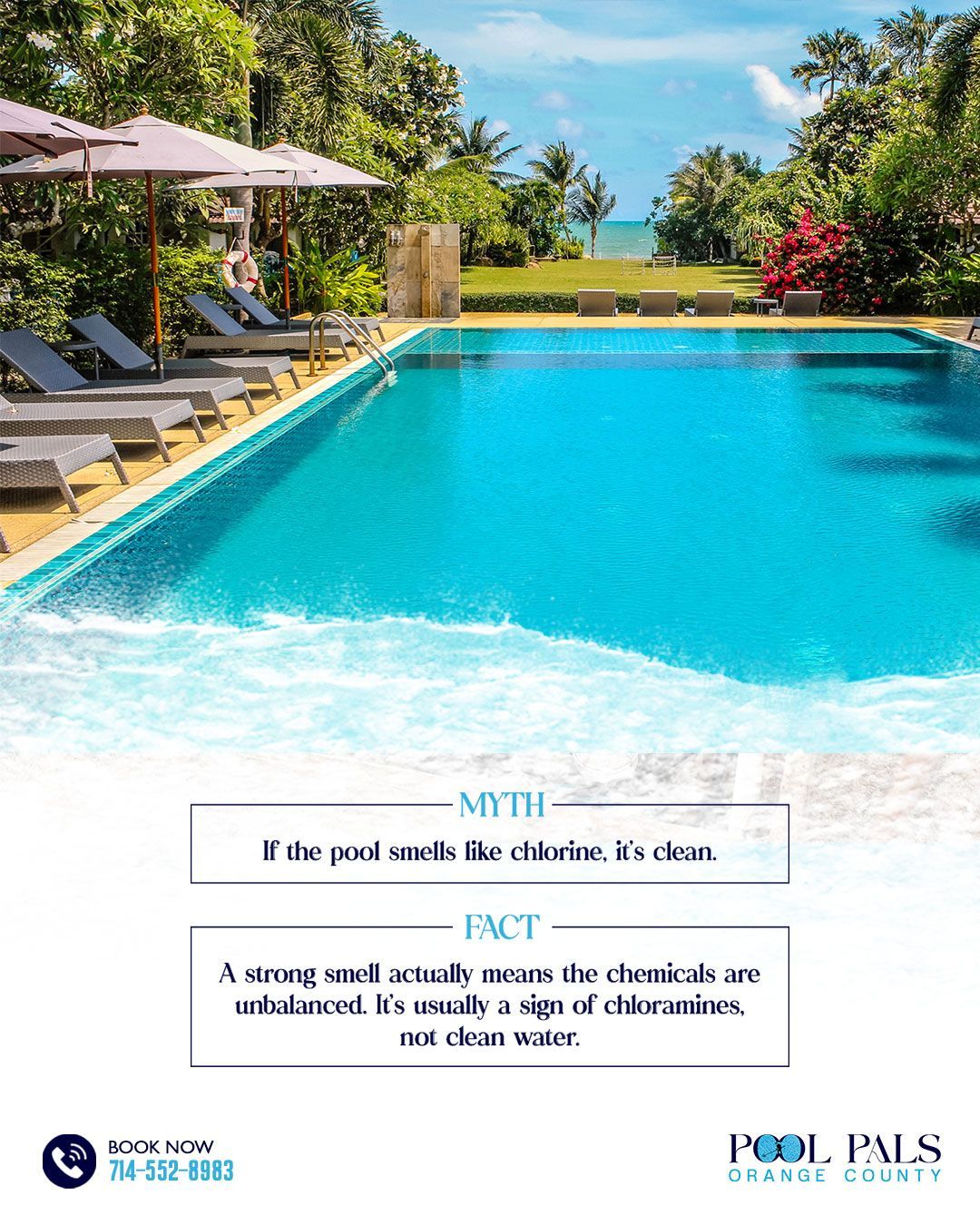 Luxury resort pool with turquoise water, lounge chairs, palm trees, and ocean view beyond the deck.