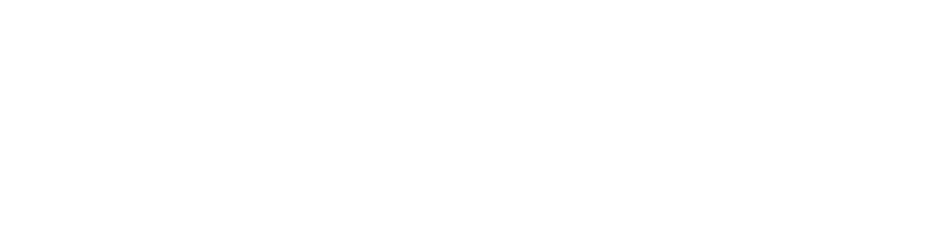 Pool Pals Orange County White Logo