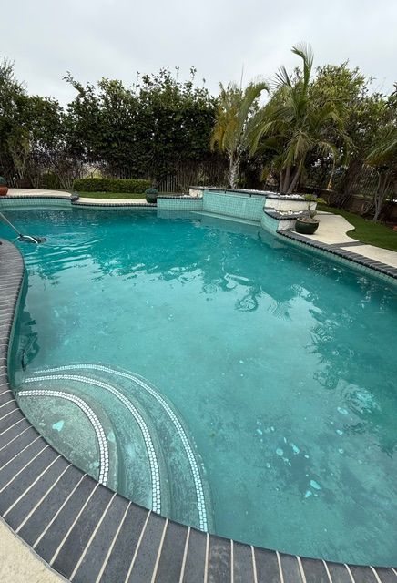 Curved backyard swimming pool with turquoise water, stone deck, and lush palm trees nearby