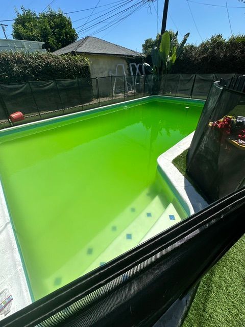 Bright green backyard pool beside a lawn, black fence, and a small gazebo under a sunny sky