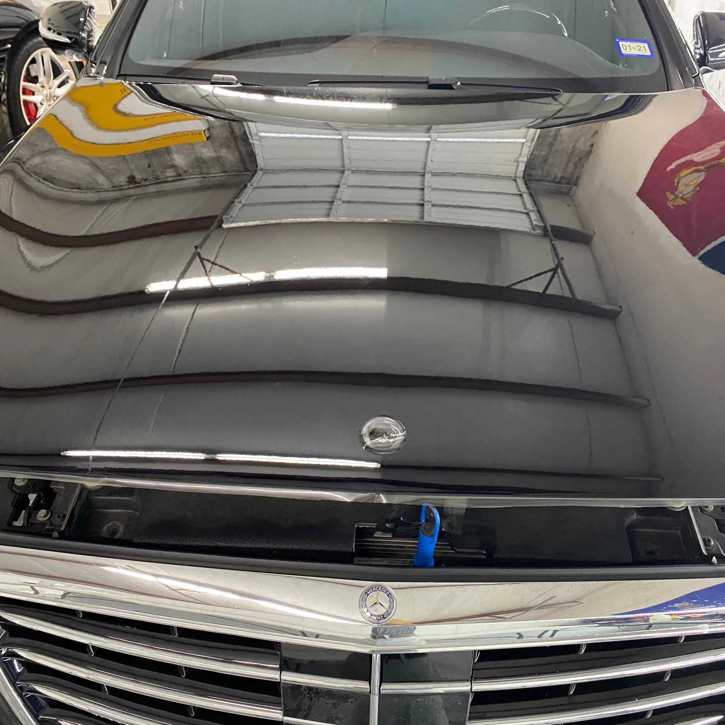 Black car hood reflecting lights, silver emblem, and grill.