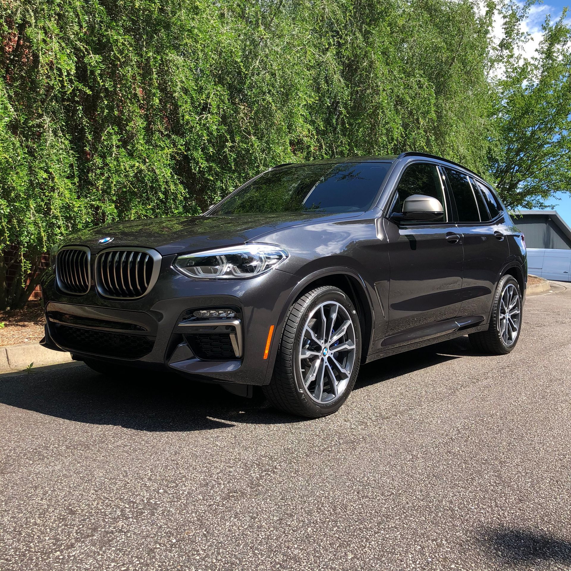 Gray BMW X3 SUV parked on asphalt driveway, with green foliage in background.