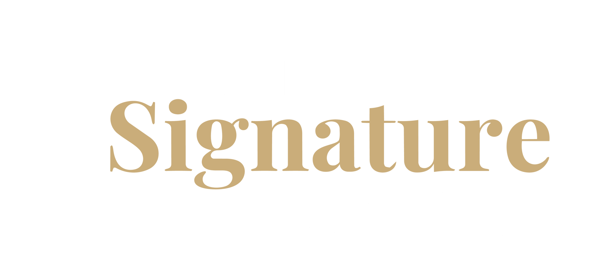 Logo: "Certified Signature PRO LLC" in gold and gray, tagline: "Where Convenience Meets Accuracy..."