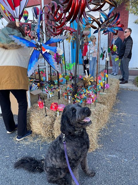 Dog practicing Sit Stability at a busy street festival in Wilson, NC, working on focus and obedience amidst crowds and distractions. Dog training in Wilson helps dogs build strong stability and control, ensuring good behavior in high-energy public events like street festivals.