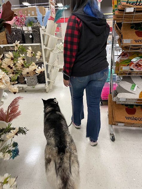 Trainer heeling a dog through Michael's in Knightdale, NC, working on obedience around various distractions in a busy retail environment. Dog training in Knightdale helps dogs strengthen focus and control while navigating crowded spaces and handling public distractions.