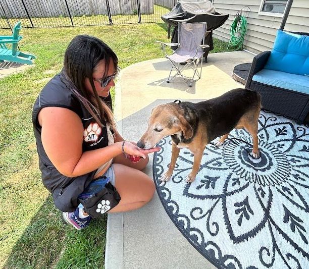 Dog trainer using treats to build trust and start training off positively in Wendell, NC. Positive reinforcement dog training in Wendell helps create strong bonds between dogs and trainers, ensuring successful learning experiences.