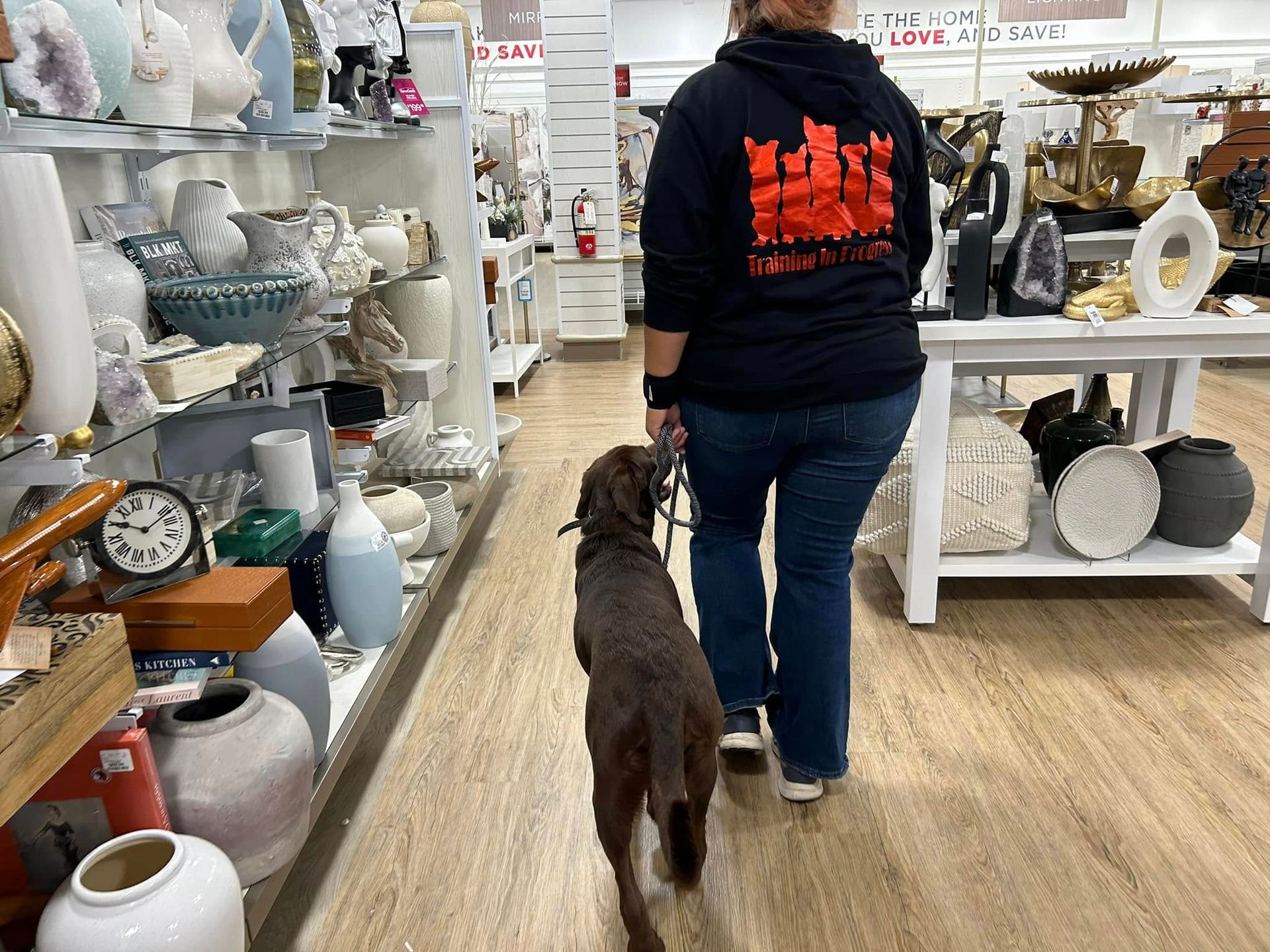 Woman training a dog at a retail store in Knightdale, NC. Dog training in Knightdale with expert guidance for better behavior and obedience. Professional dog training services in Knightdale, NC