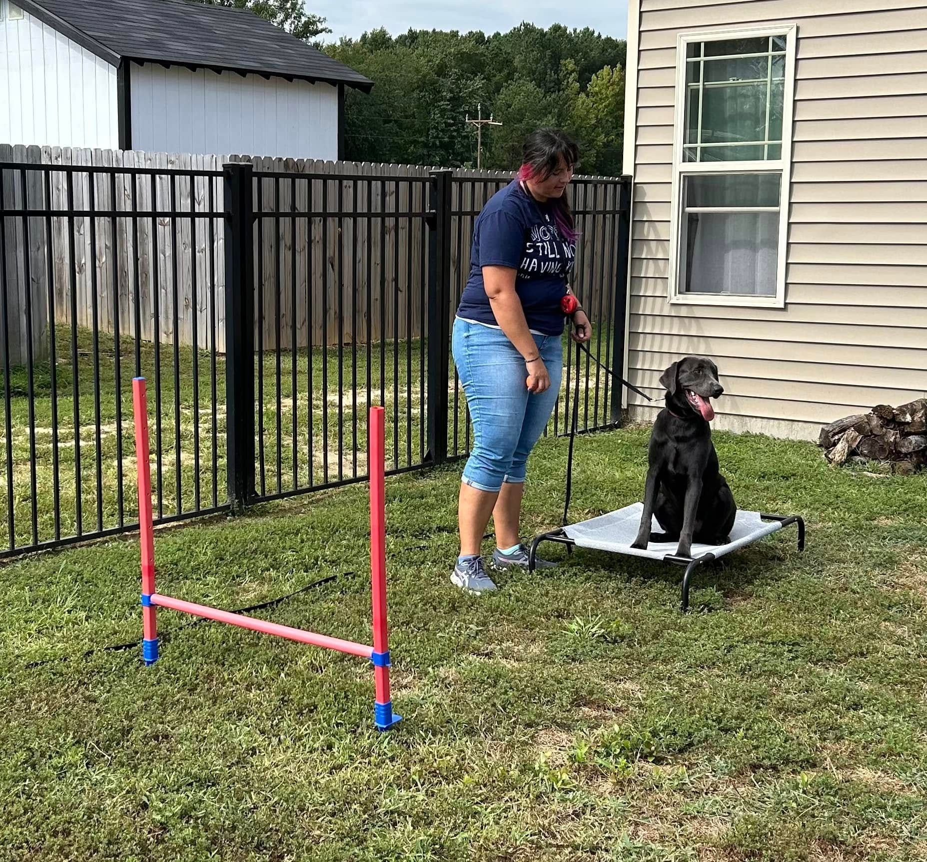 Dog working on agility equipment during a training session in Wendell, NC, to improve confidence and coordination. Dog training in Wendell uses agility exercises to boost dogs' confidence, focus, and physical abilities in a fun, engaging environment.