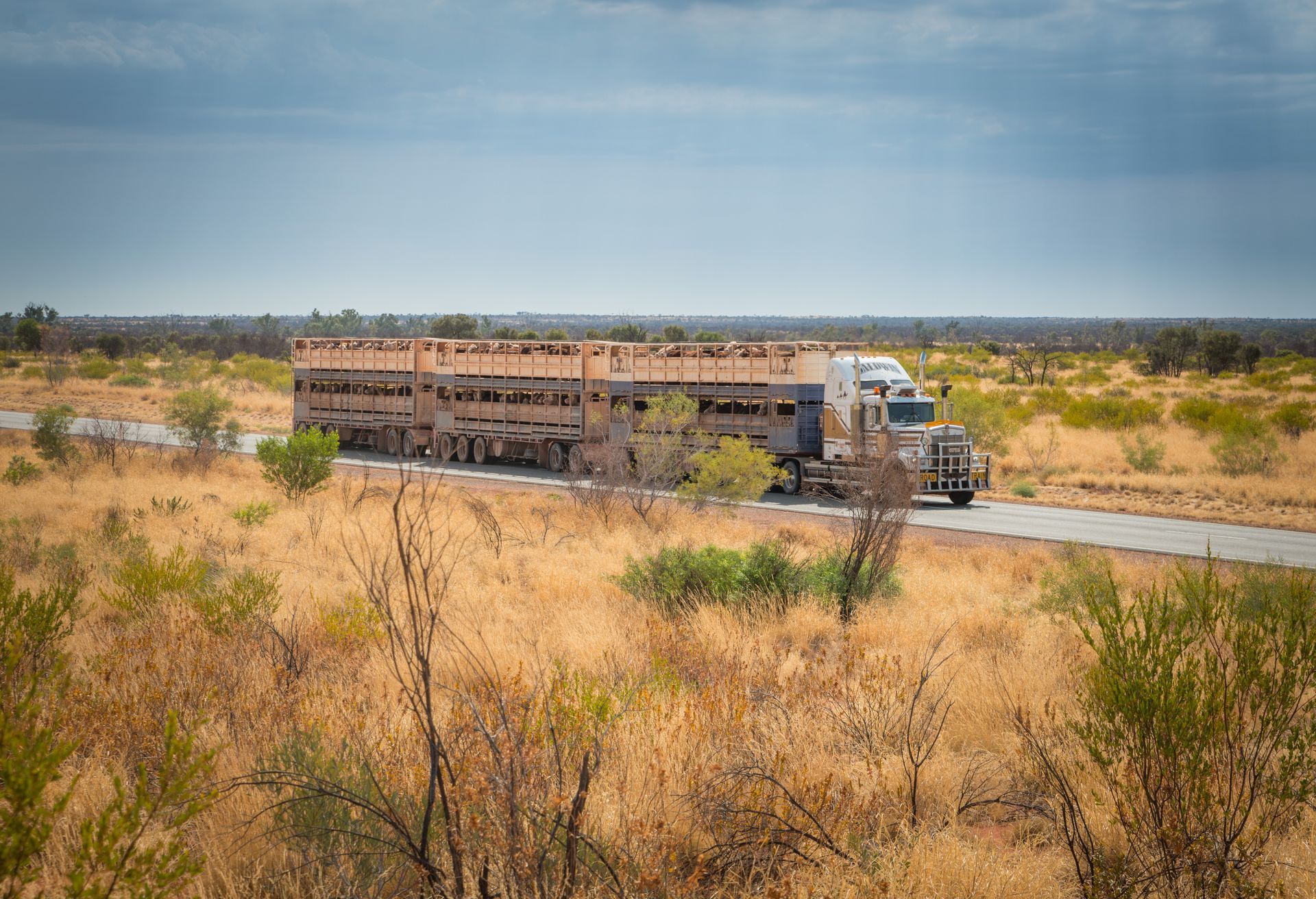 Livestock truck driving on a paved road through a dry, arid landscape under a cloudy sky.