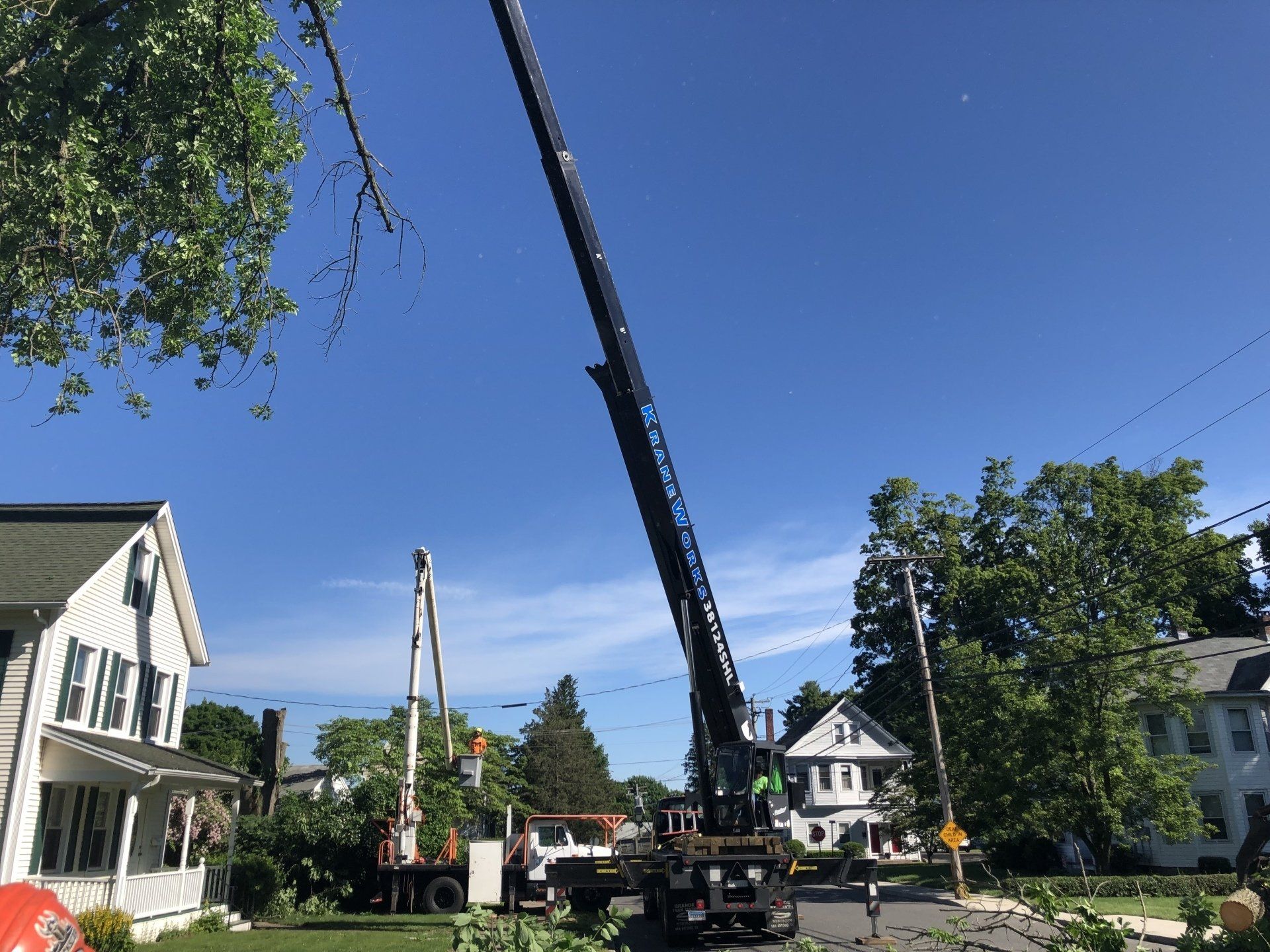 A tall crane trimming a tree in a residential area, under a bright blue sky.