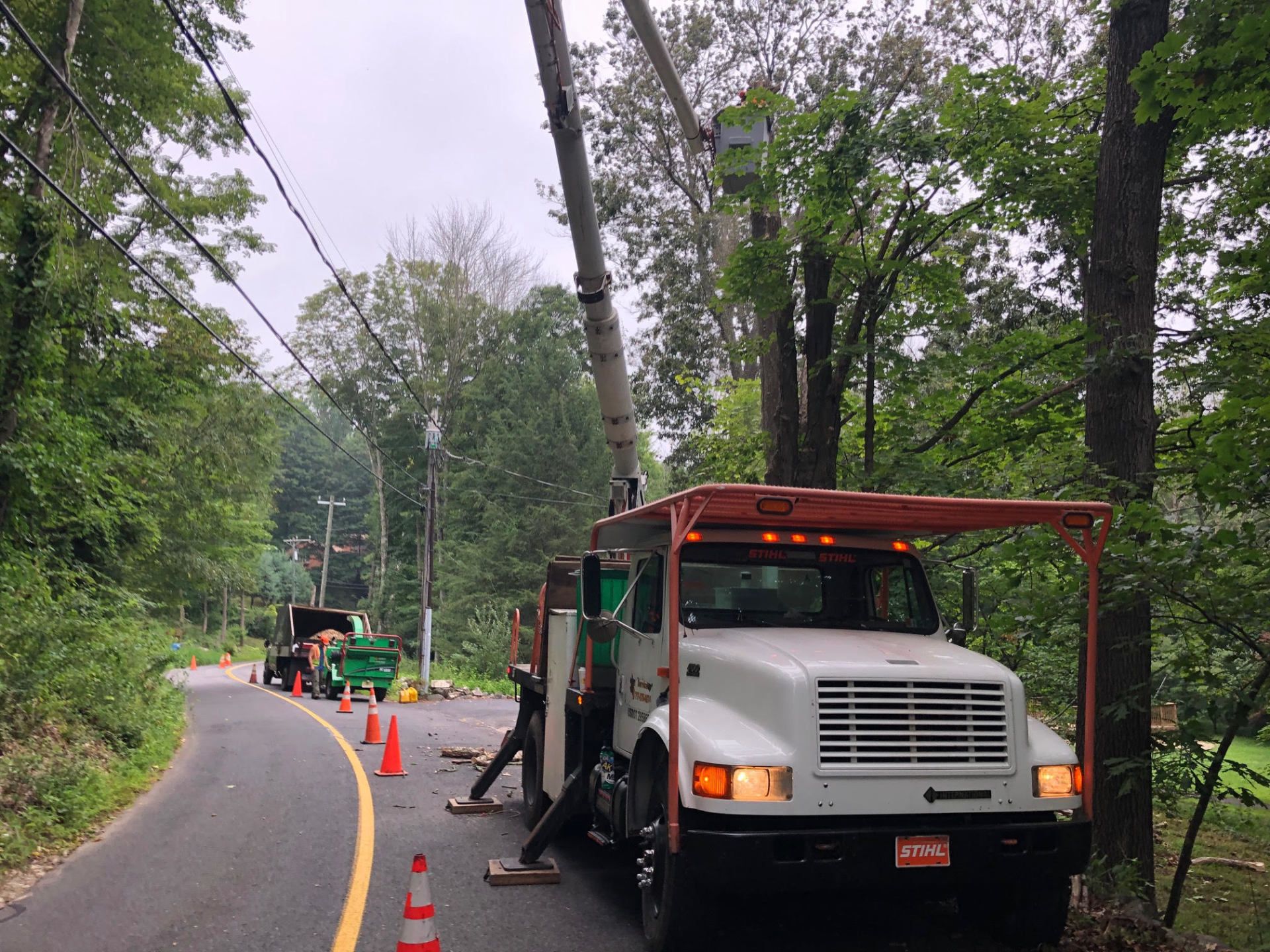 Utility truck trimming a tree near power lines on a curved road. Workers and wood chipper visible.