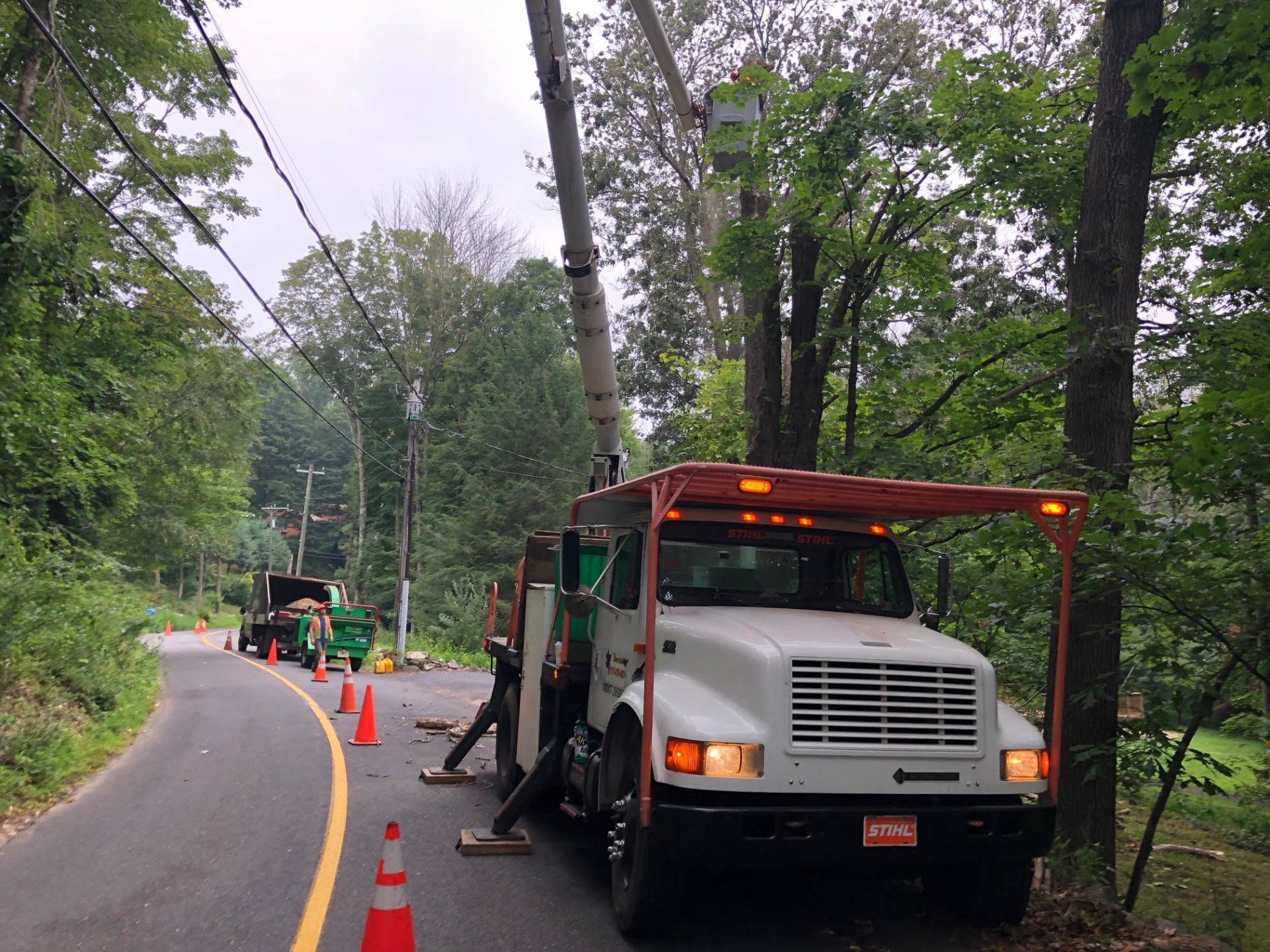 A utility truck working on a tree near power lines on a road.
