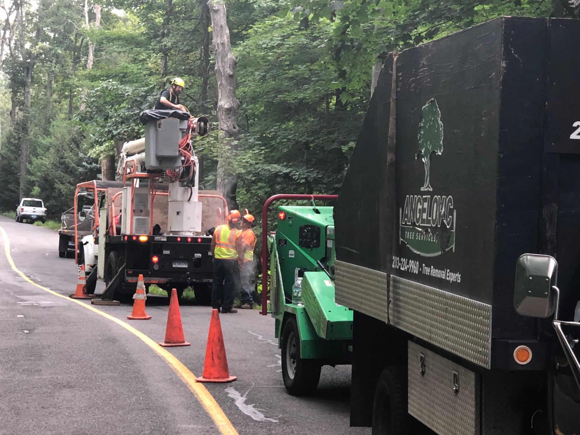 Tree trimming crew on a road. Men in safety vests operate a lift truck and wood chipper.