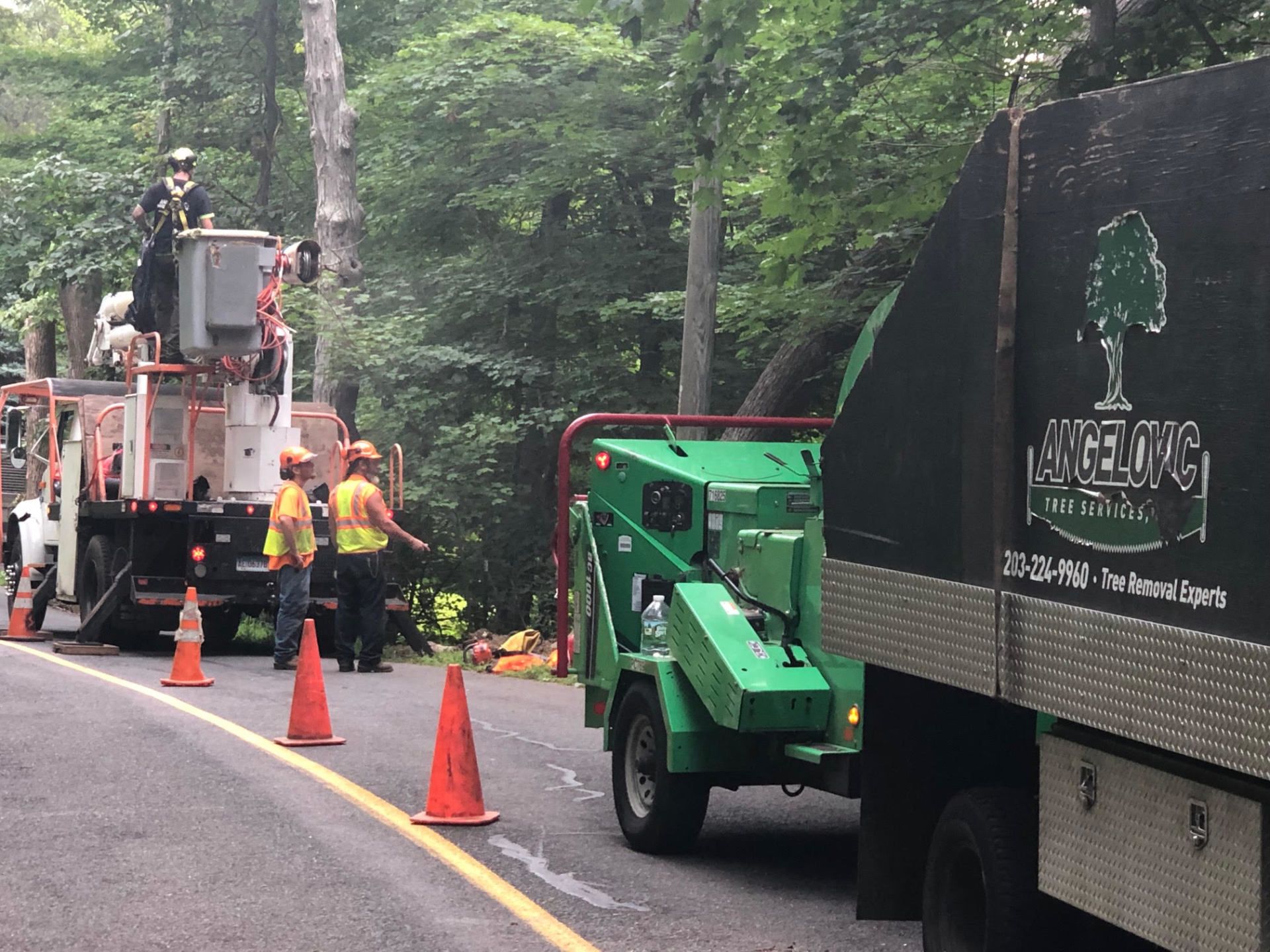 Tree removal crew working on a road with a wood chipper, truck, and lift, using orange cones.