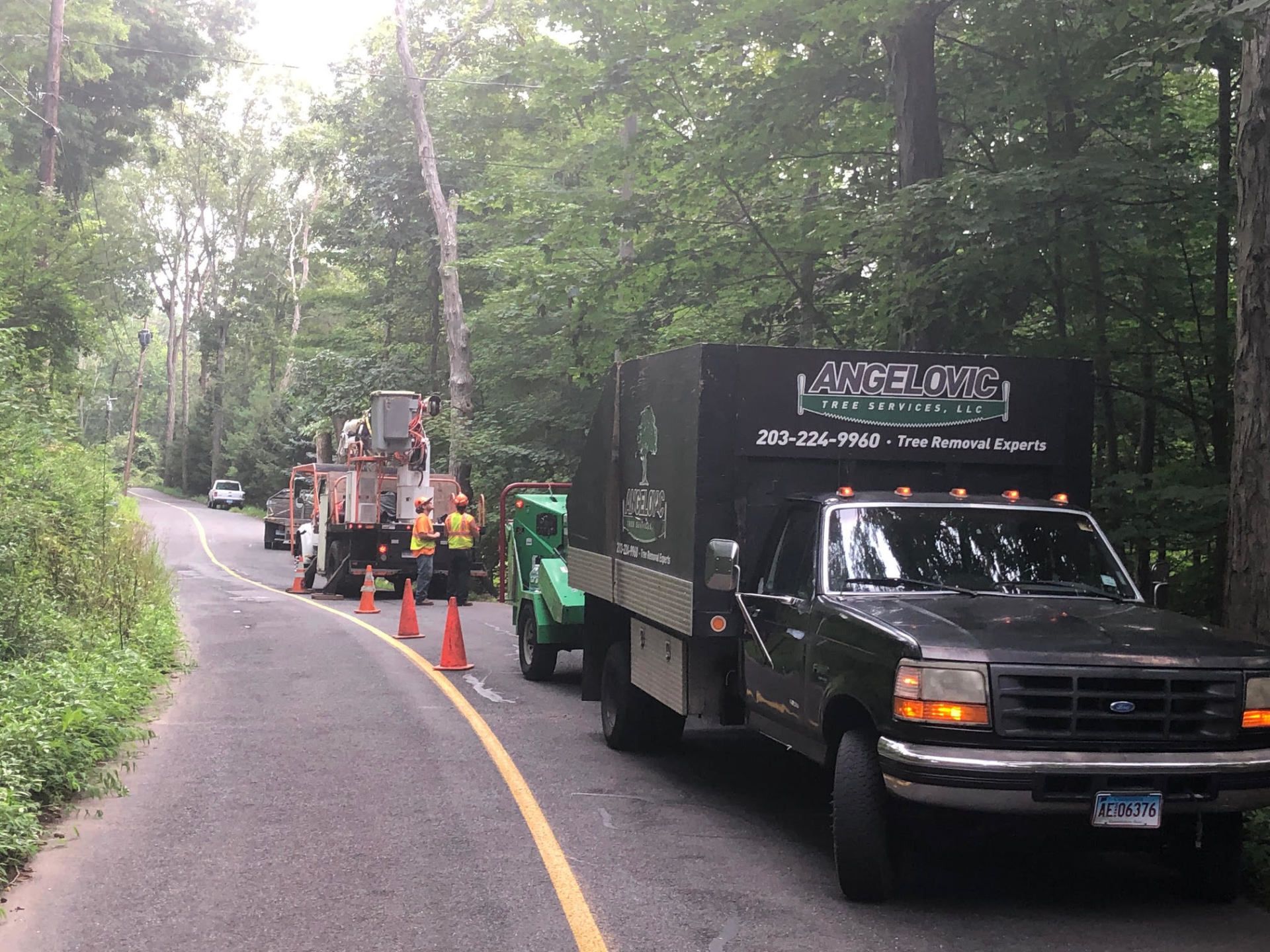 Tree removal crew on a narrow road; truck, chipper, orange cones, and workers.