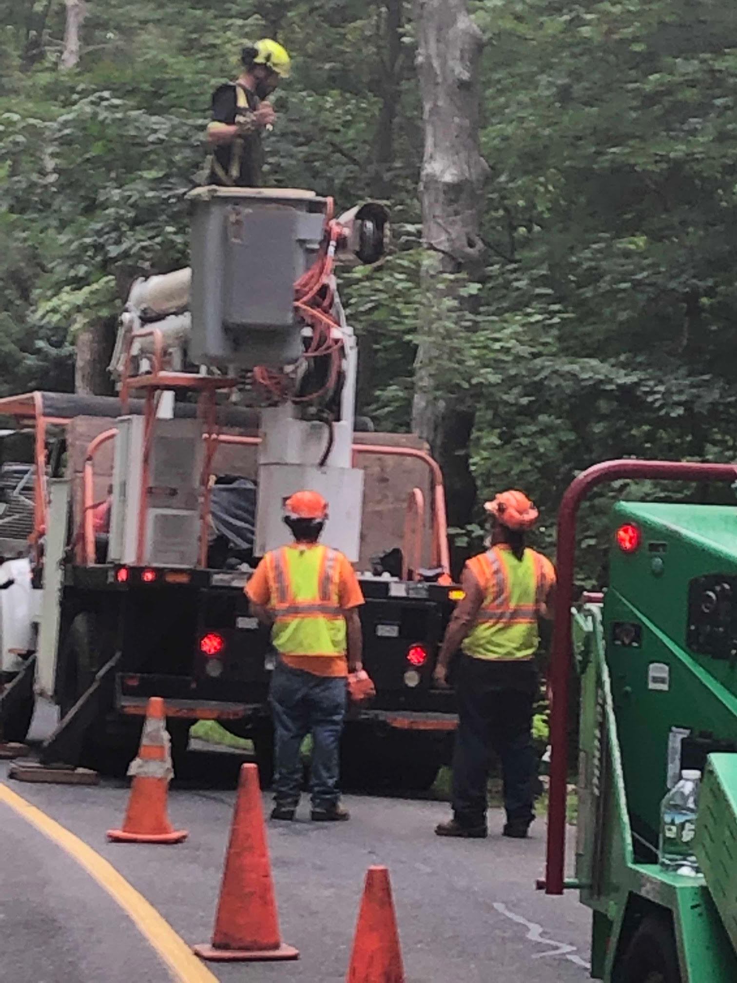 Utility workers in orange vests near truck, one in lift bucket near tree. Roadside setting.