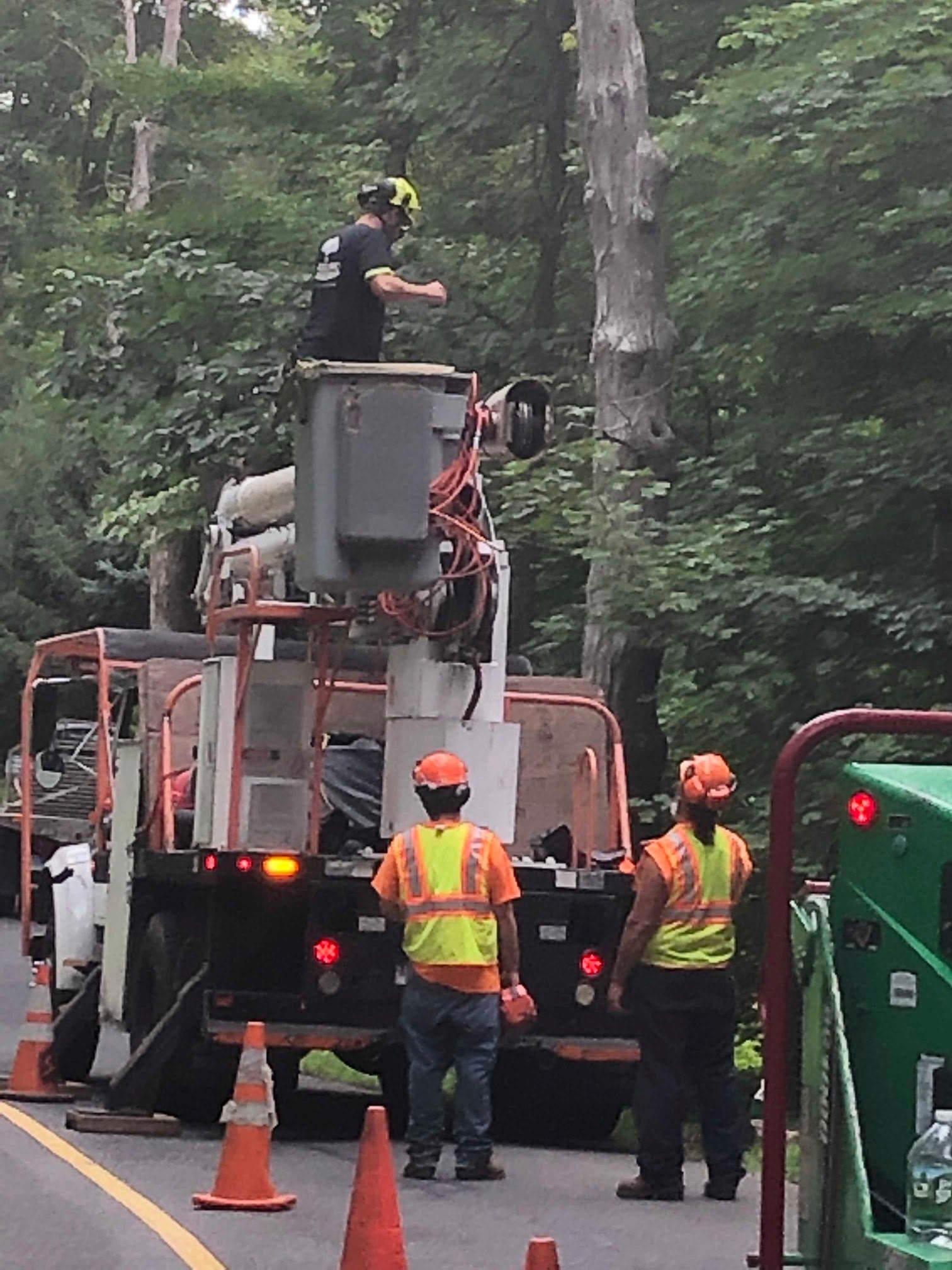 Workers in bucket truck trimming a tall tree on a road. They are wearing safety vests and hard hats.