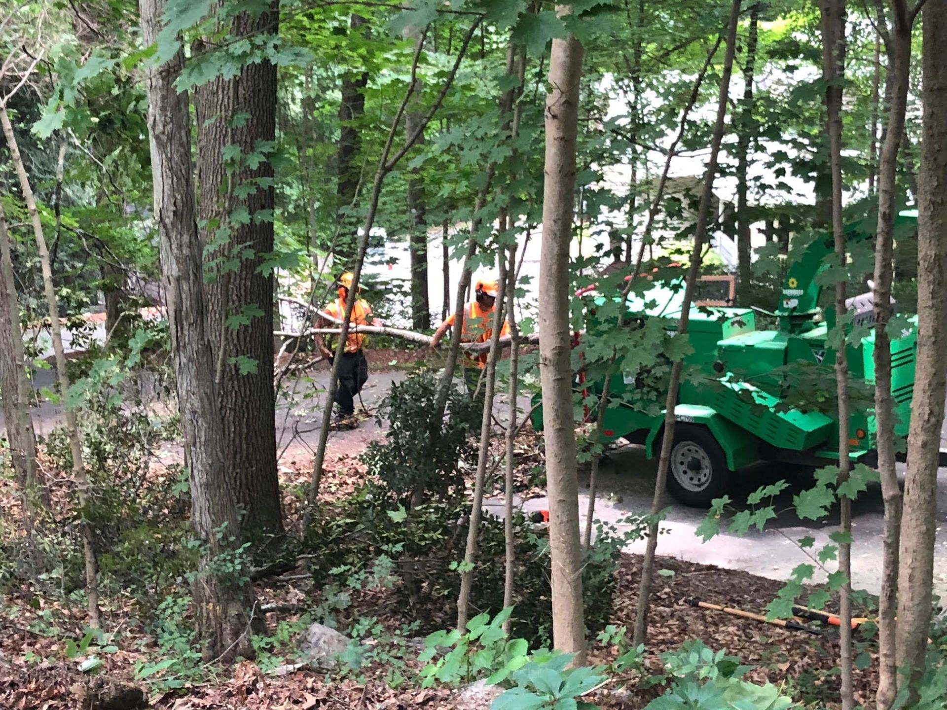 Two workers in orange vests trimming trees with a wood chipper nearby, in a wooded area.