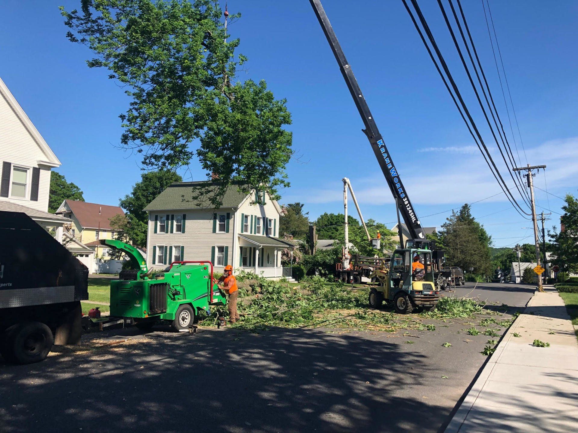 Tree removal in progress on a residential street; a chipper, crane, and workers are visible.