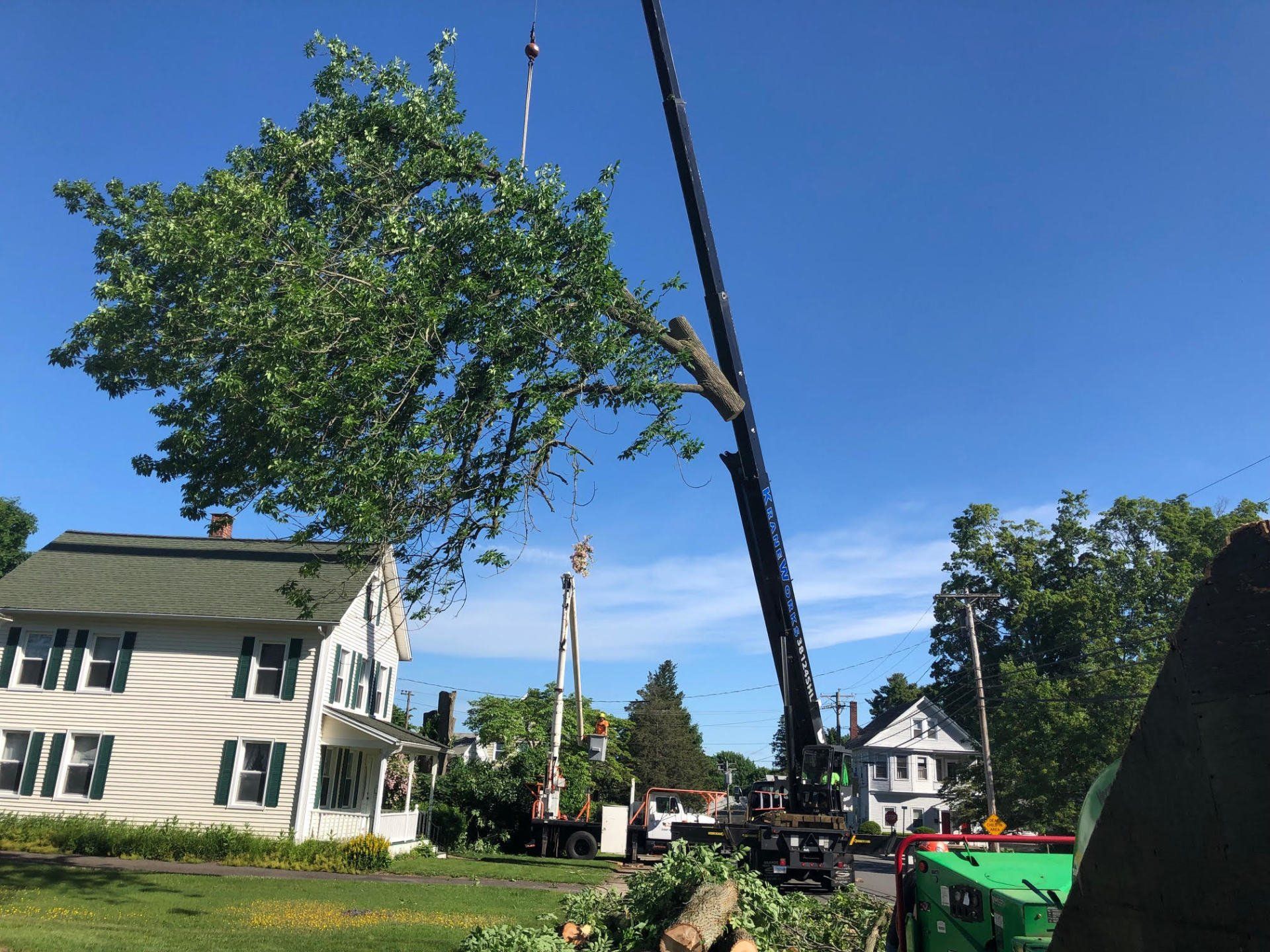 A crane lifting a large tree branch on a sunny day. Houses and tree trimmings are in the background.