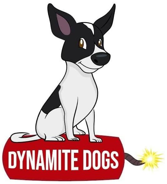 Dynamite Dogs Training & Groomer