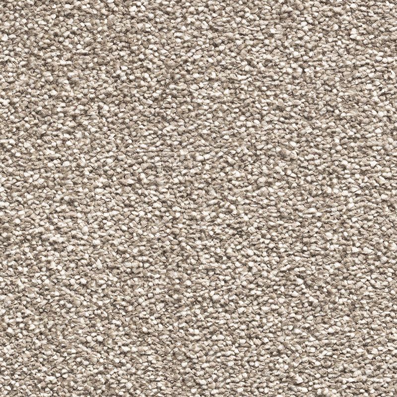 Fusion Feel Carpet
