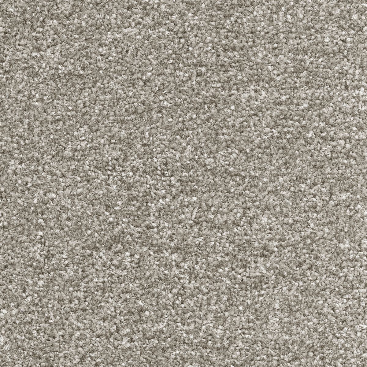 Centurion Twist Carpet