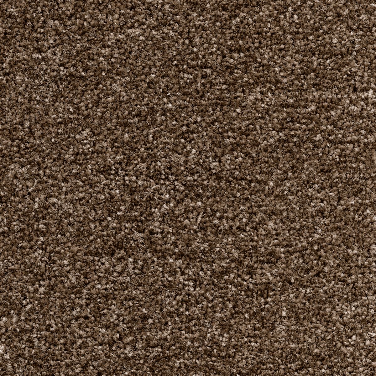 Centurion Twist Carpet
