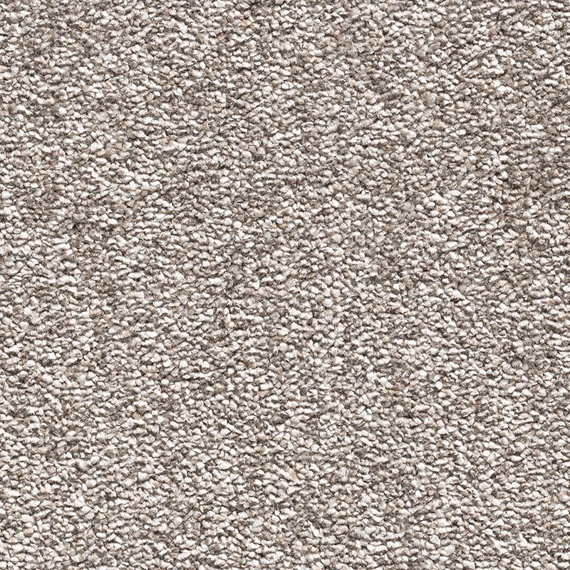 Fusion Feel Carpet