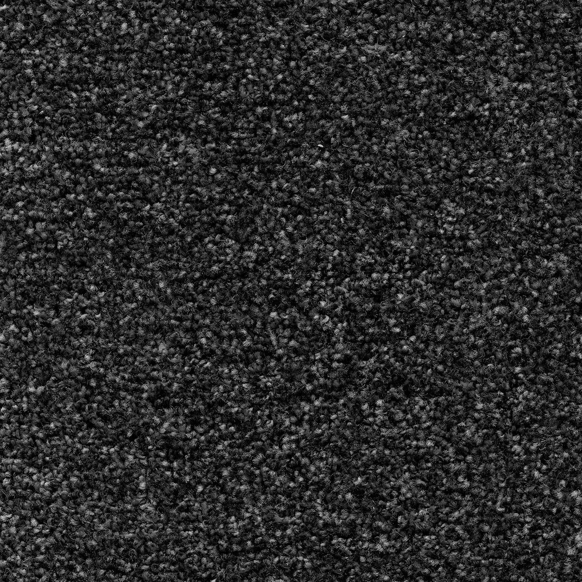 Centurion Twist Carpet