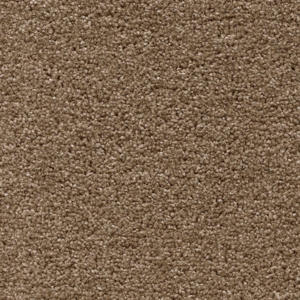 Centurion Twist Carpet