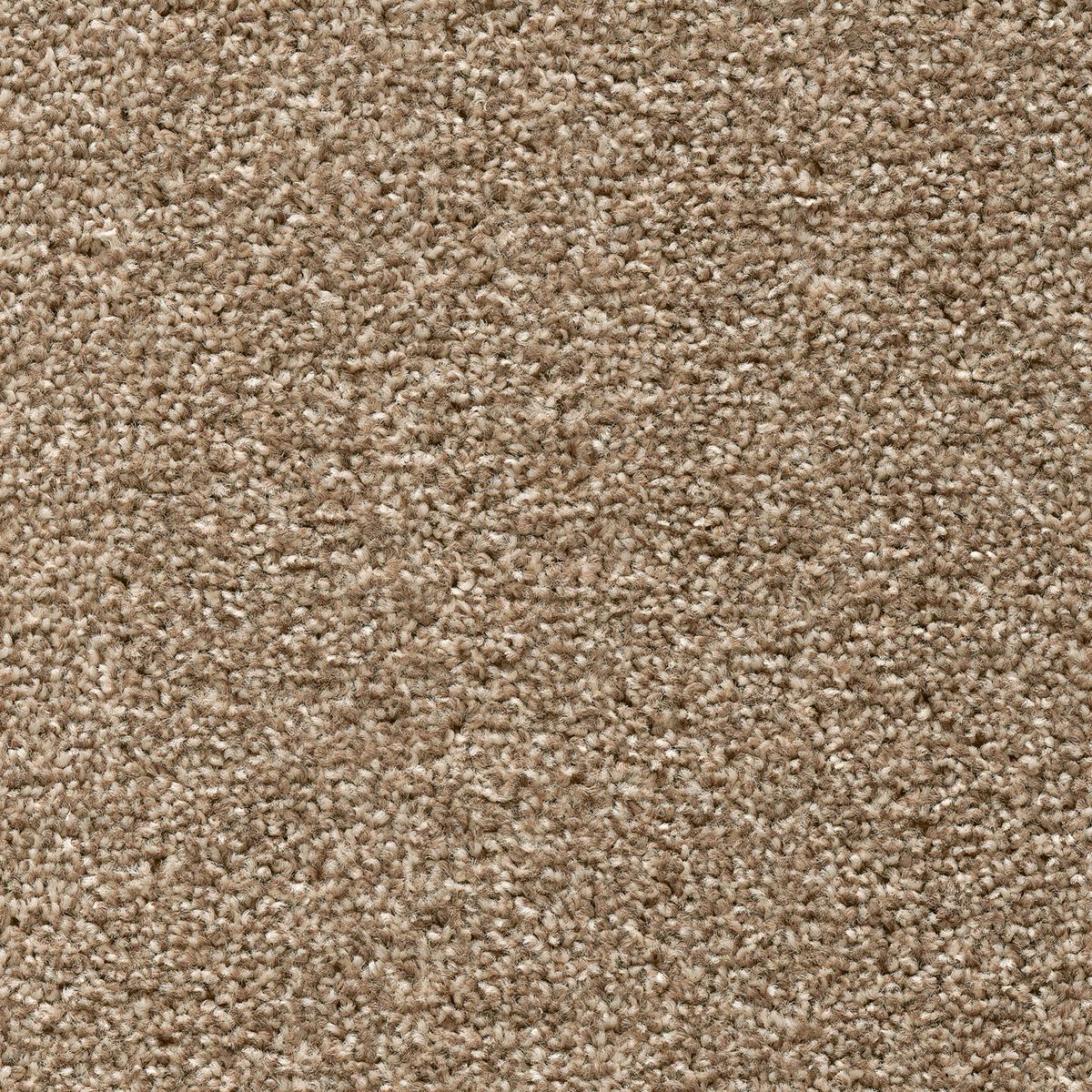 Centurion Twist Carpet