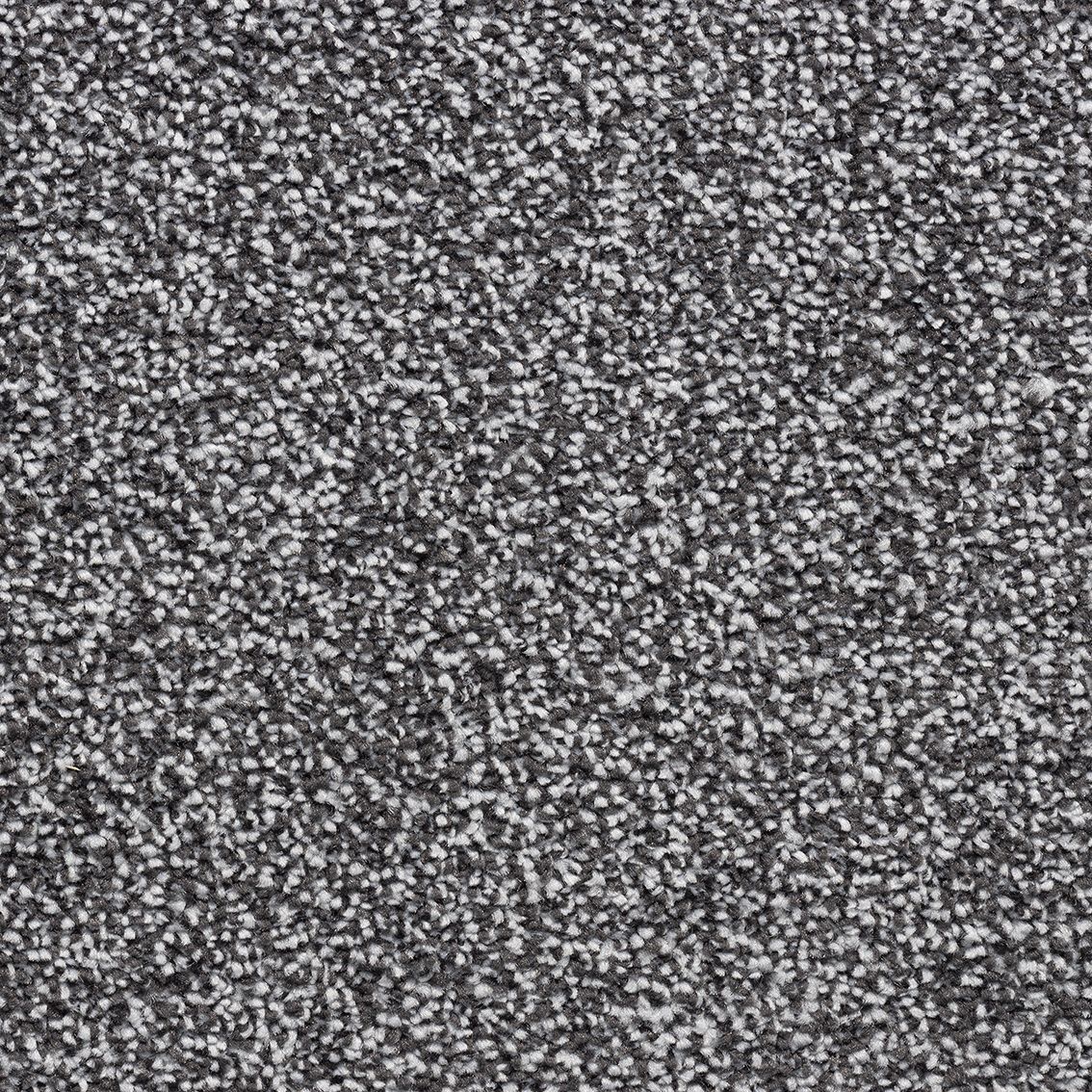 Velvet Dawn Carpet