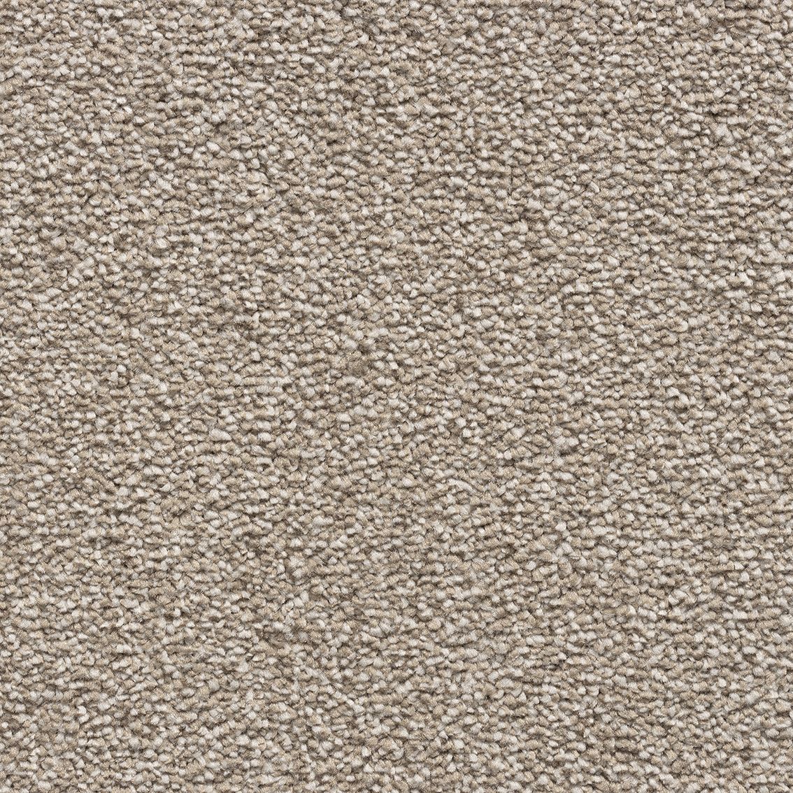 Velvet Dawn Carpet