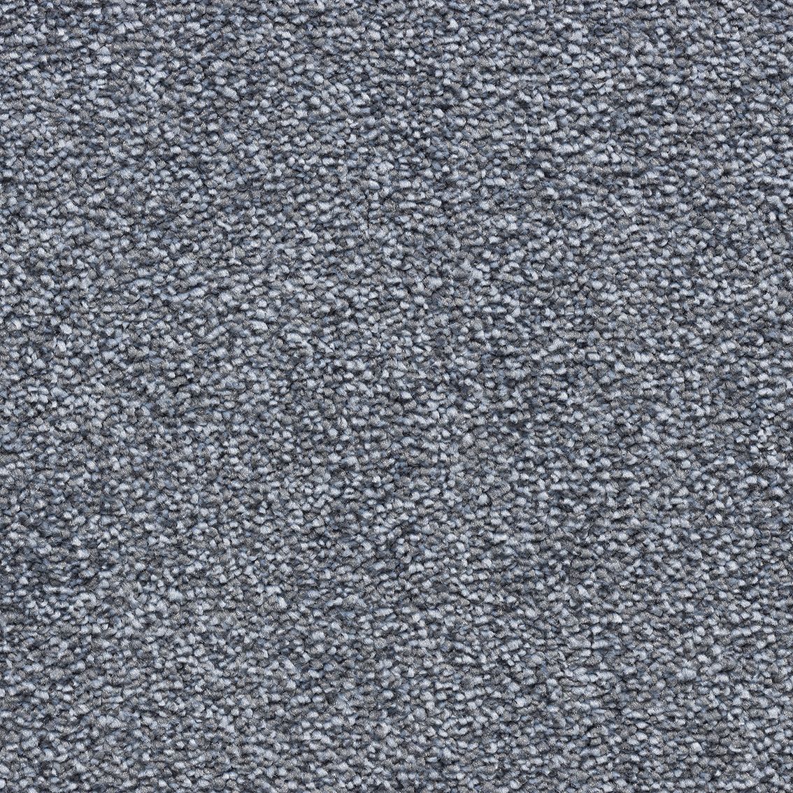 Velvet Dawn Carpet